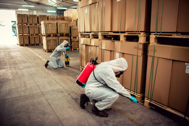 Flea Control Services in Whitmire, SC