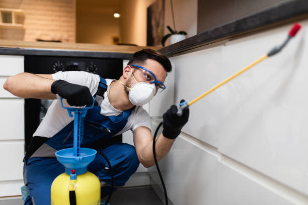 Best Best Pest Control Companies  in Whitmire, SC