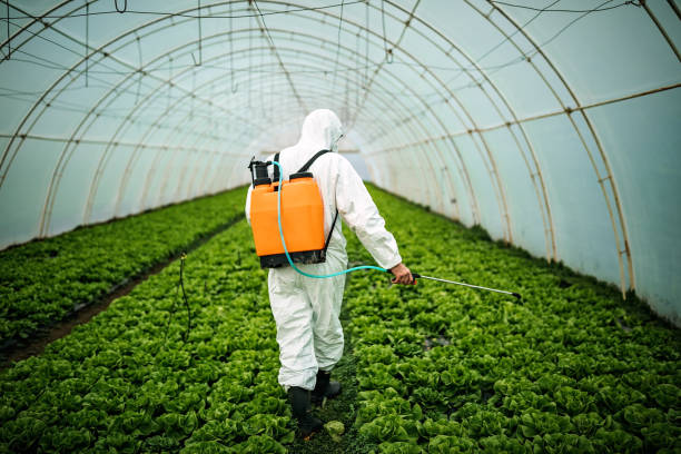Best Pest Prevention Services  in Whitmire, SC