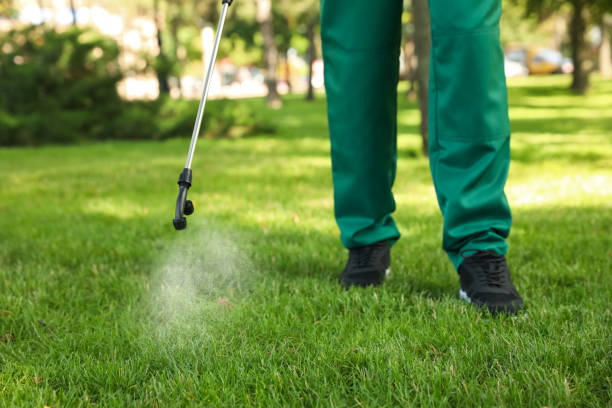 Best Flea Control Services  in Whitmire, SC
